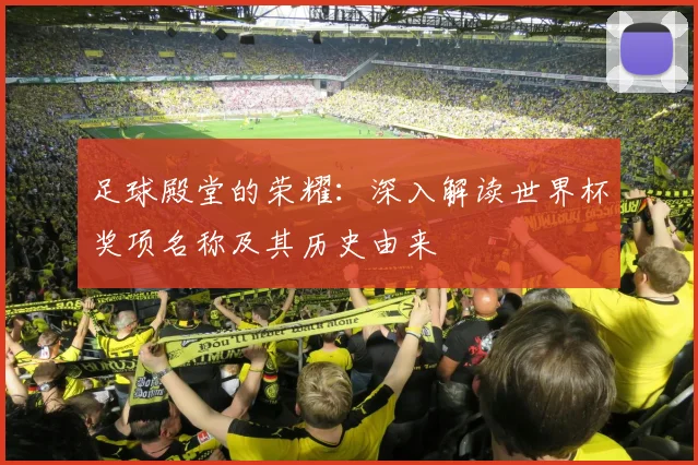 足球殿堂的荣耀：深入解读世界杯奖项名称及其历史由来