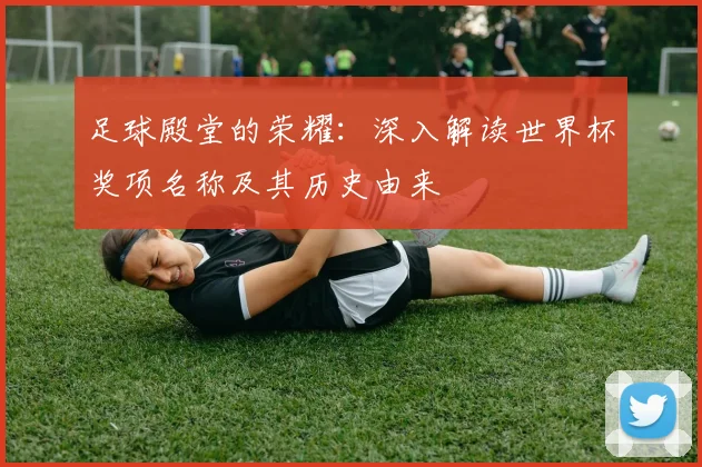 足球殿堂的荣耀：深入解读世界杯奖项名称及其历史由来